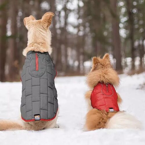 Dog Vest/ Coat Art 108 - Image 2
